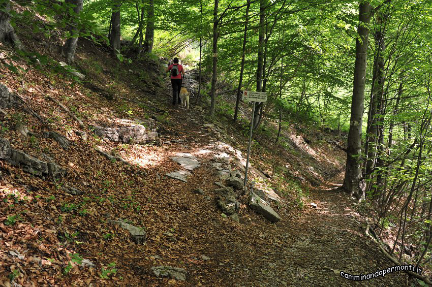 003 Periplo del Grem.JPG